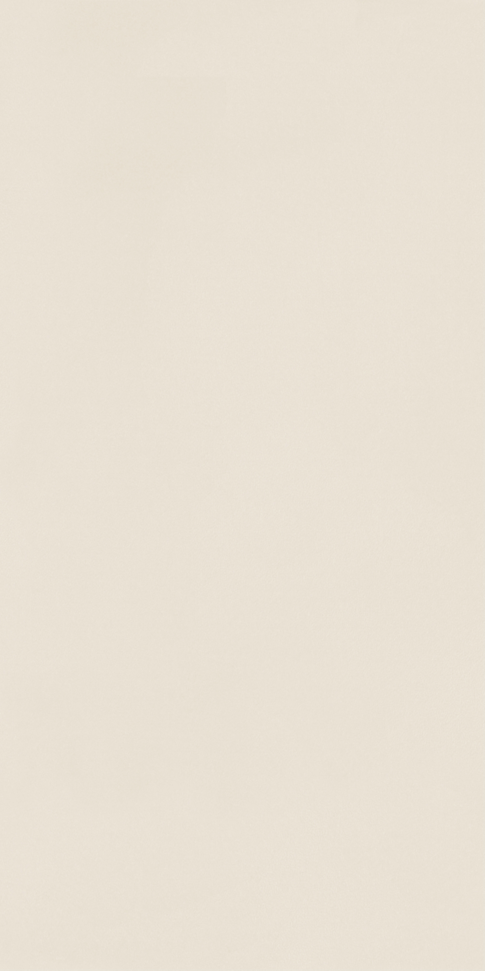 LJXB85812 薄纱米白